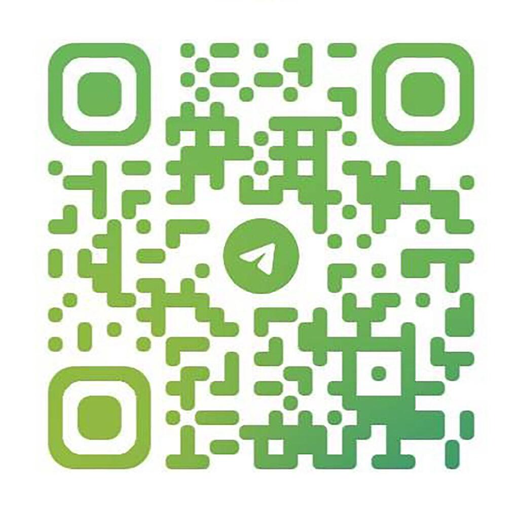 บอลบ้านบอล เว็บคาสิโนออนไลน์สไตล์ใหม่ จ่ายจริง จบครบในที่เดียว