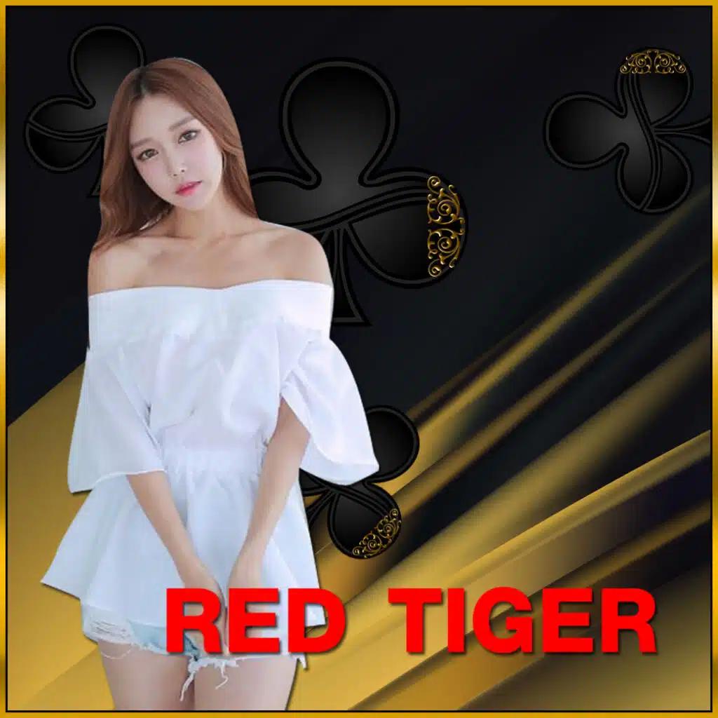 บ้านบลบอล คาสิโนทันสมัย แจกโบนัสสุดคุ้มทุกวัน